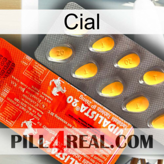 Cial new01.jpg